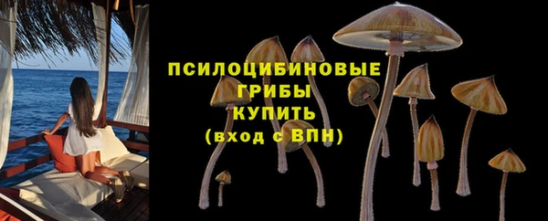 круглые Алексеевка