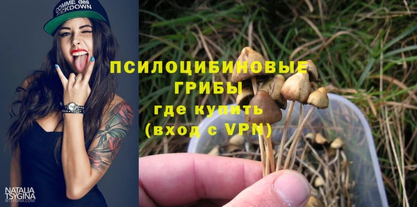 круглые Алексеевка